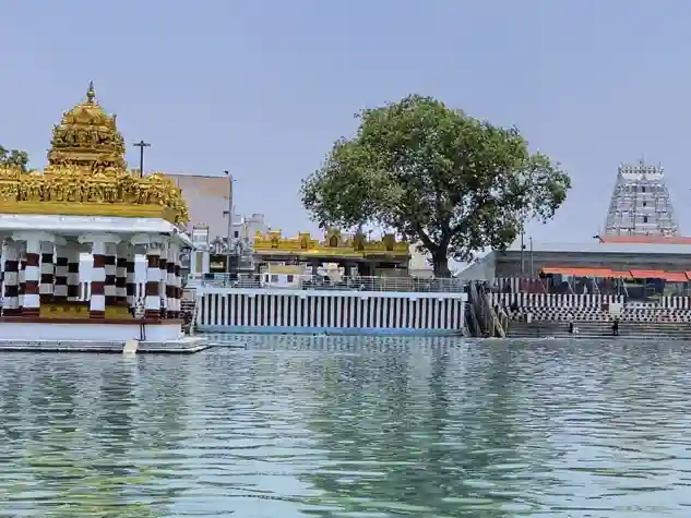 Sri Padmavathi Ammavaru Temple, Tiruchanoor